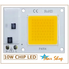 LED CHIP INTEGRADO 10W-AC220V
