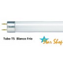 T5 TUBO FLUORESCENTE